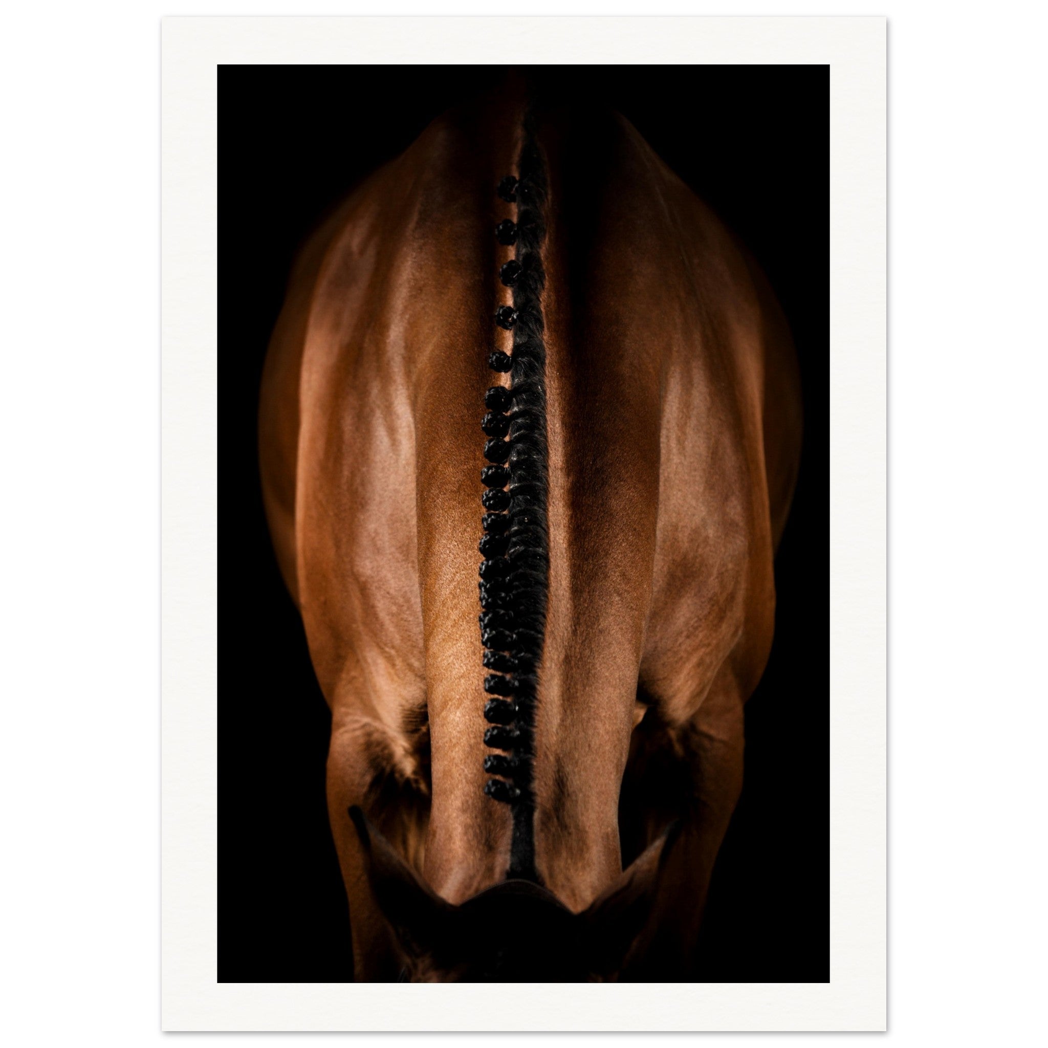 5cca550f-8889-4b77-aca9-9e3bf196d06a