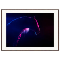 5cdc5d2a-e23e-4f39-a626-51b7a61c0a47