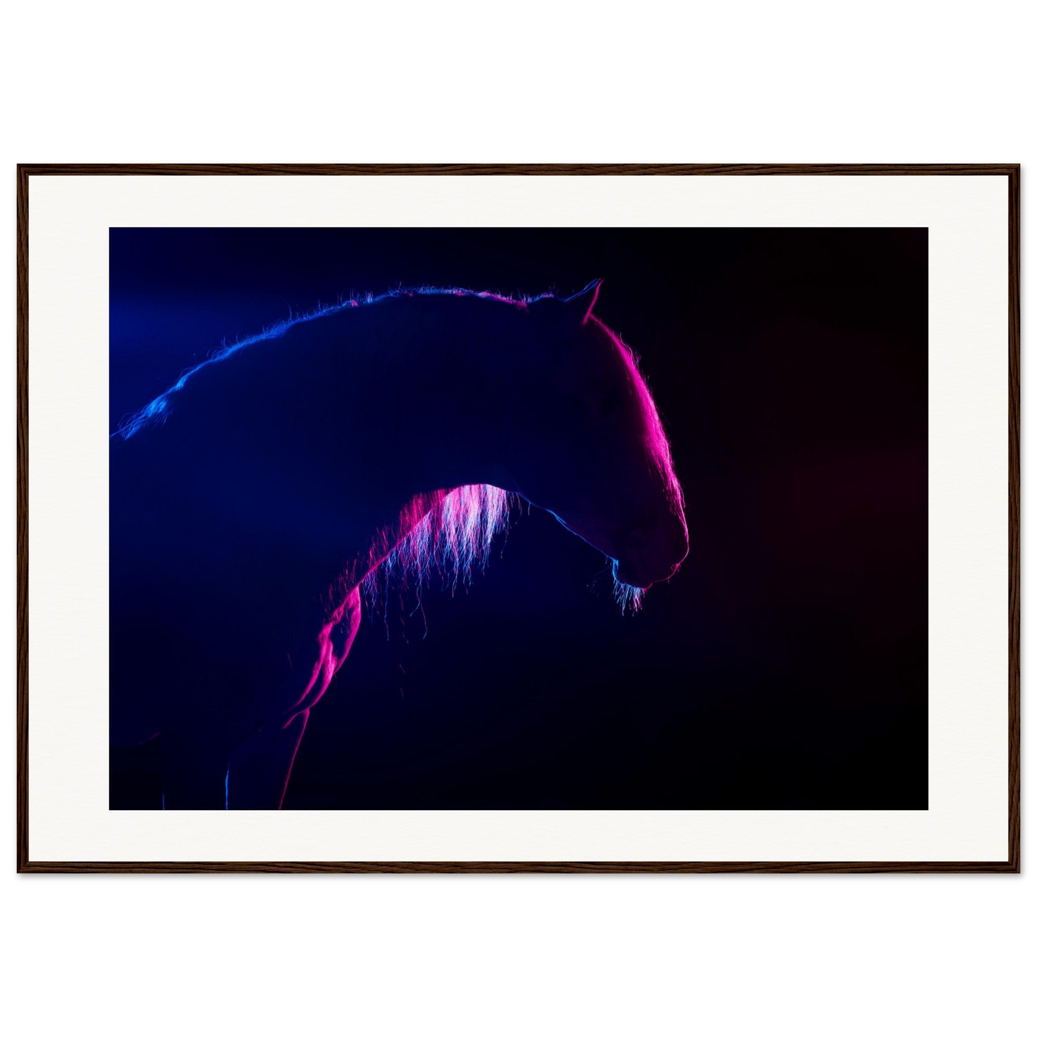 5cdc5d2a-e23e-4f39-a626-51b7a61c0a47