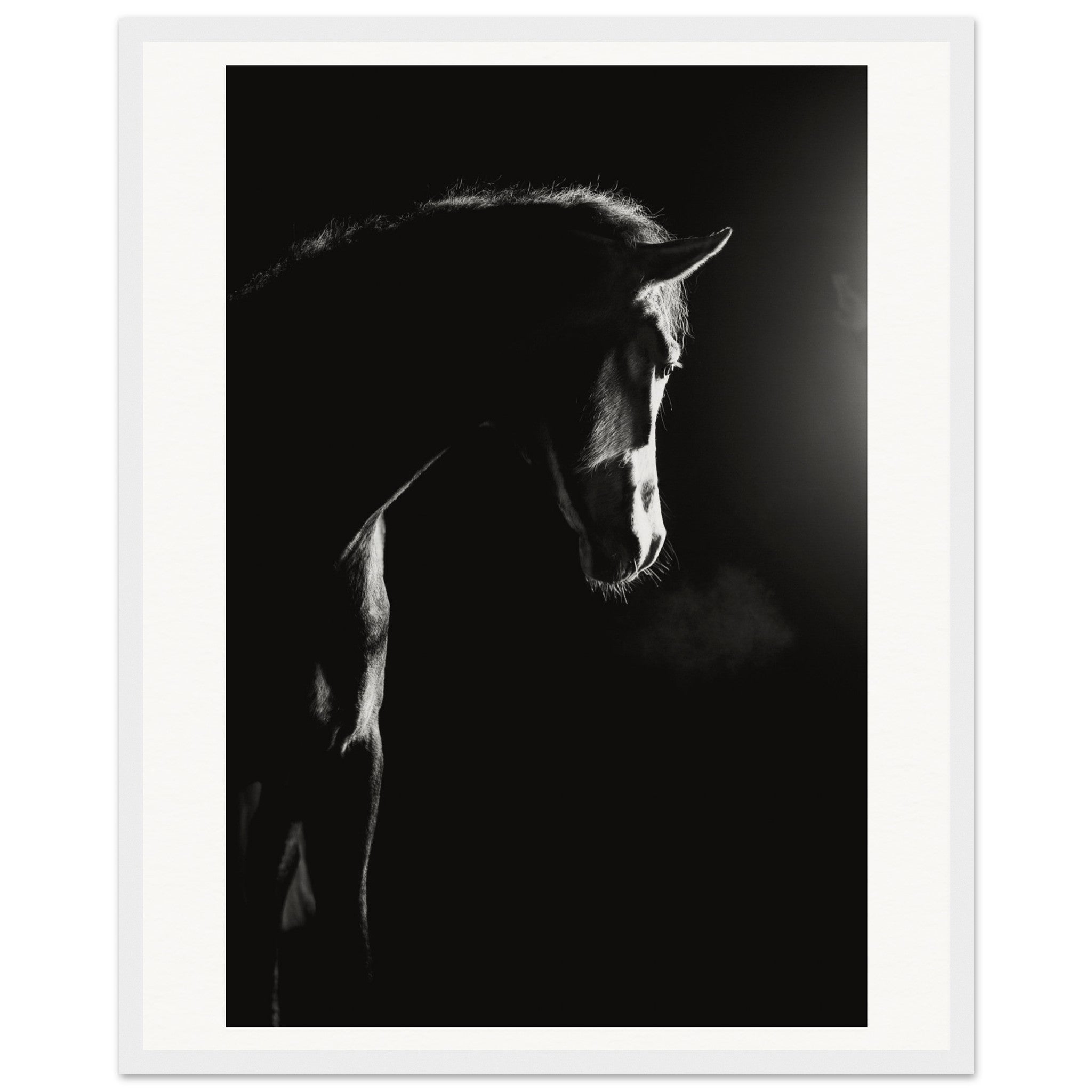 5d012c8f-df30-485b-b2b4-a82192e73d6c