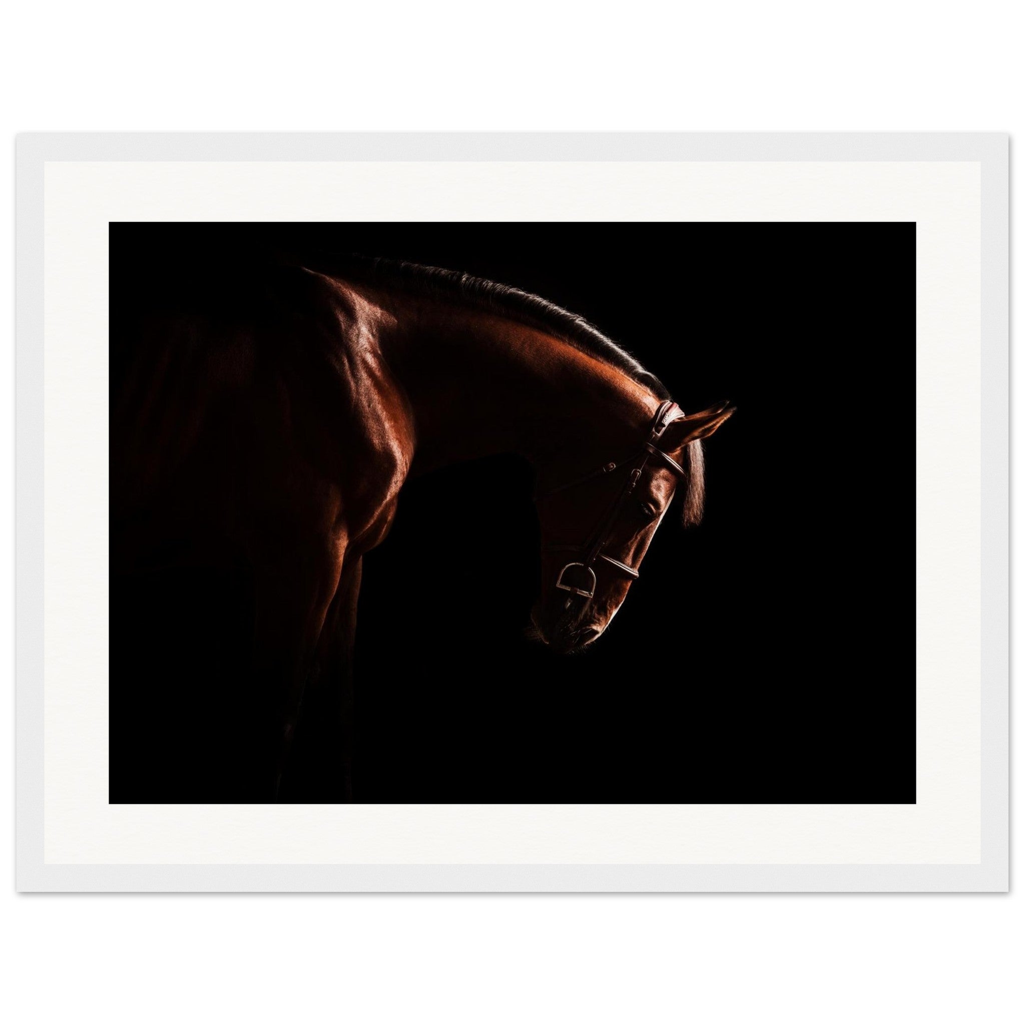 5d0d510c-58b7-4800-a827-84ae1b1730dd