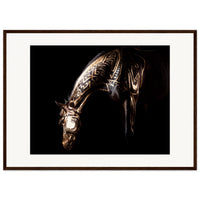 5d269505-78be-4e4b-8c43-790c7be0097f