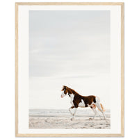 5d329581-3b43-4541-93dc-d68d85b54e53