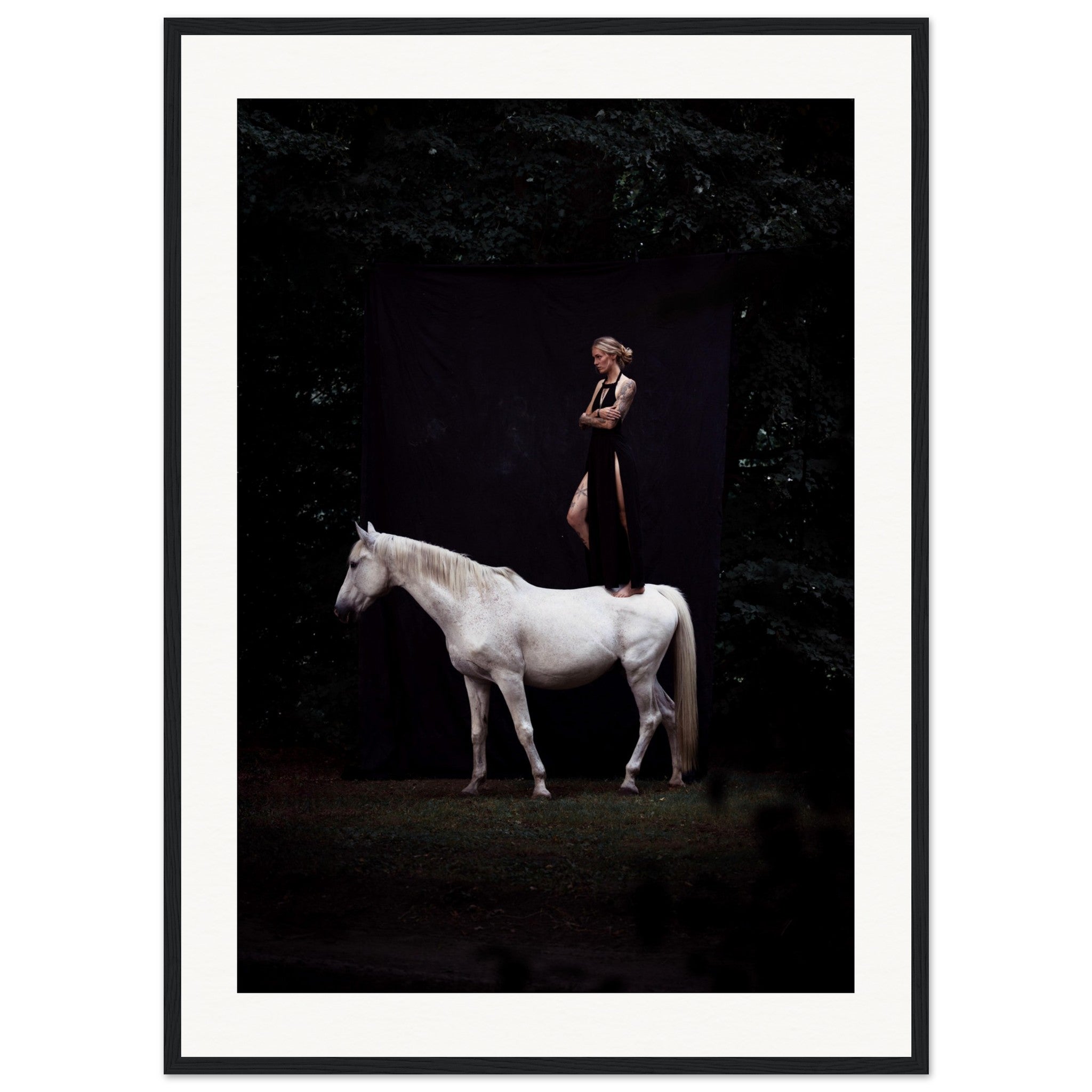 5d36c0ab-335d-4ae7-a369-ef9df2e66a6c