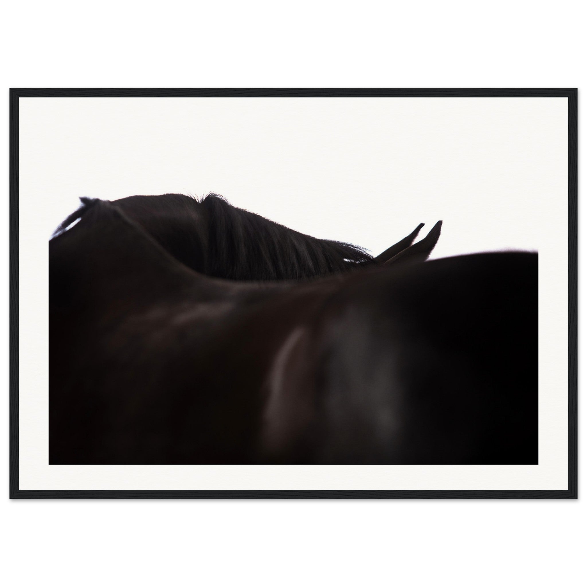 5d4967a3-d0c3-42f1-9295-0a9f0abefdd2