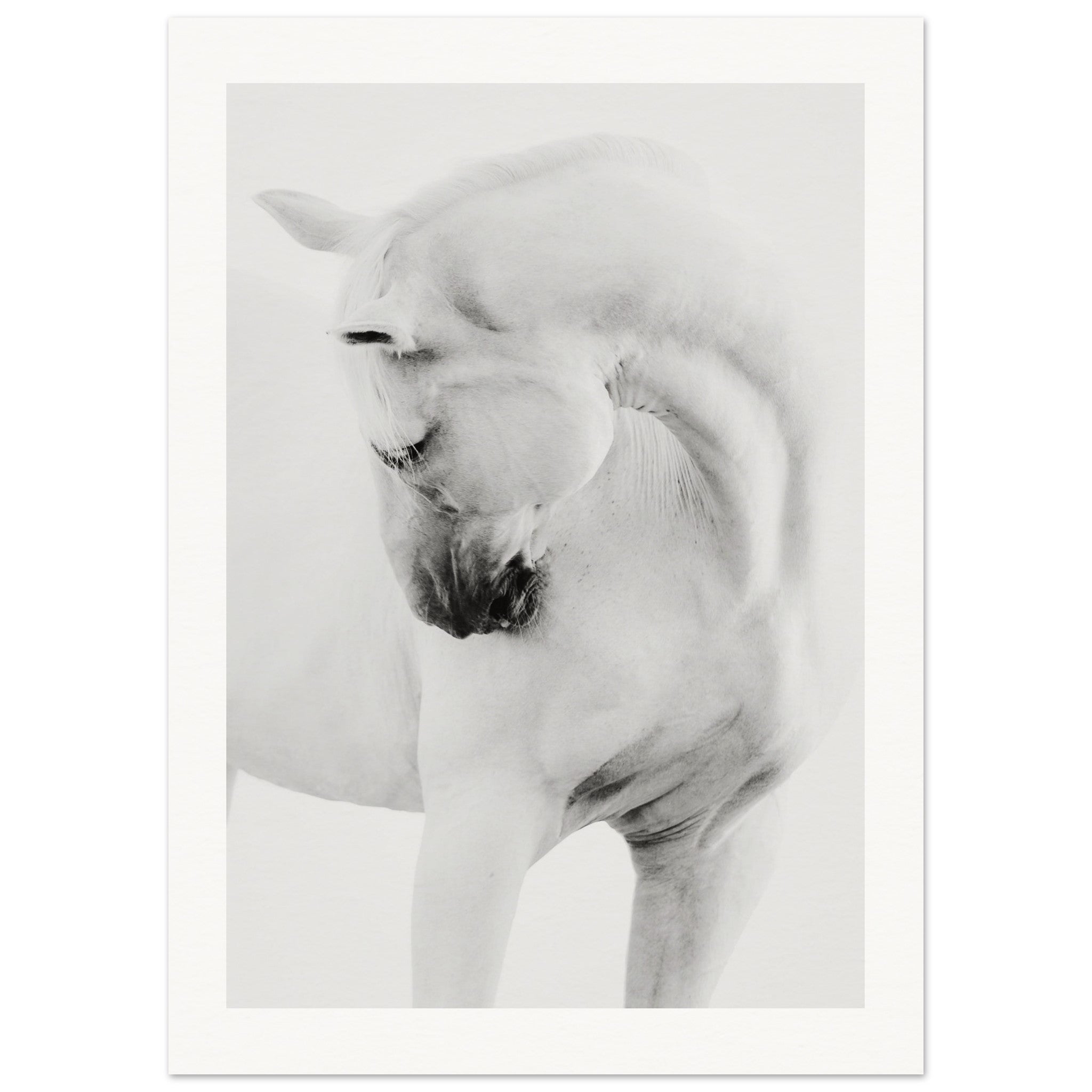 5d4e3869-d547-4bb3-aa85-7bc178db8c5d