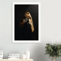 5e032238-02e5-4067-a7e2-2c576d915717