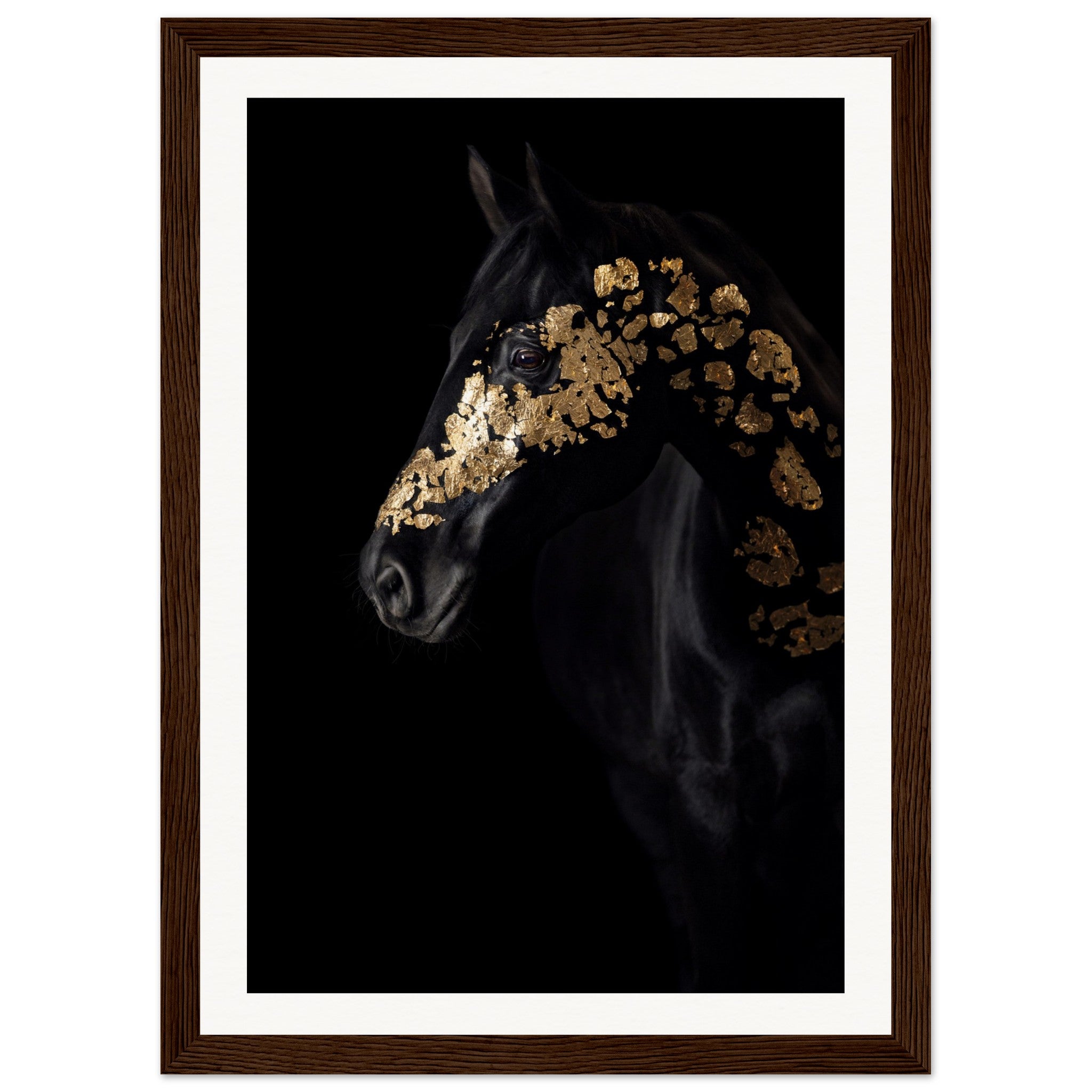 5e7f2fc9-af1a-4c7c-8761-416ec9dd19b7