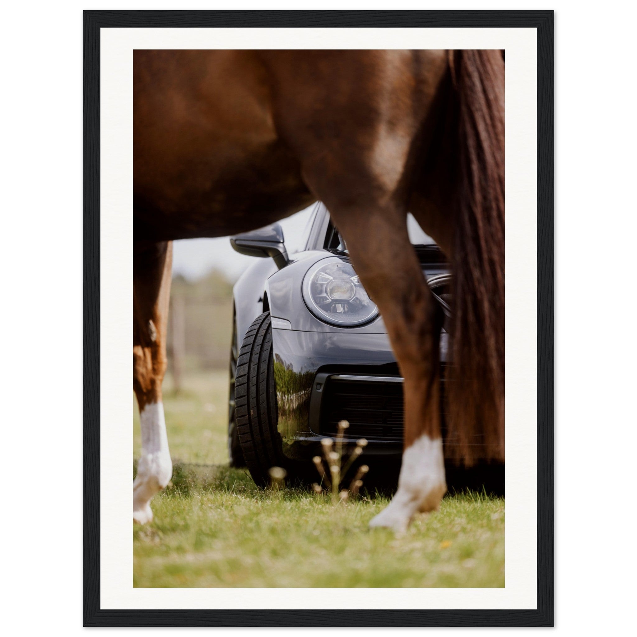 5e8db920-a3fb-4110-9e11-71bdcacb209d