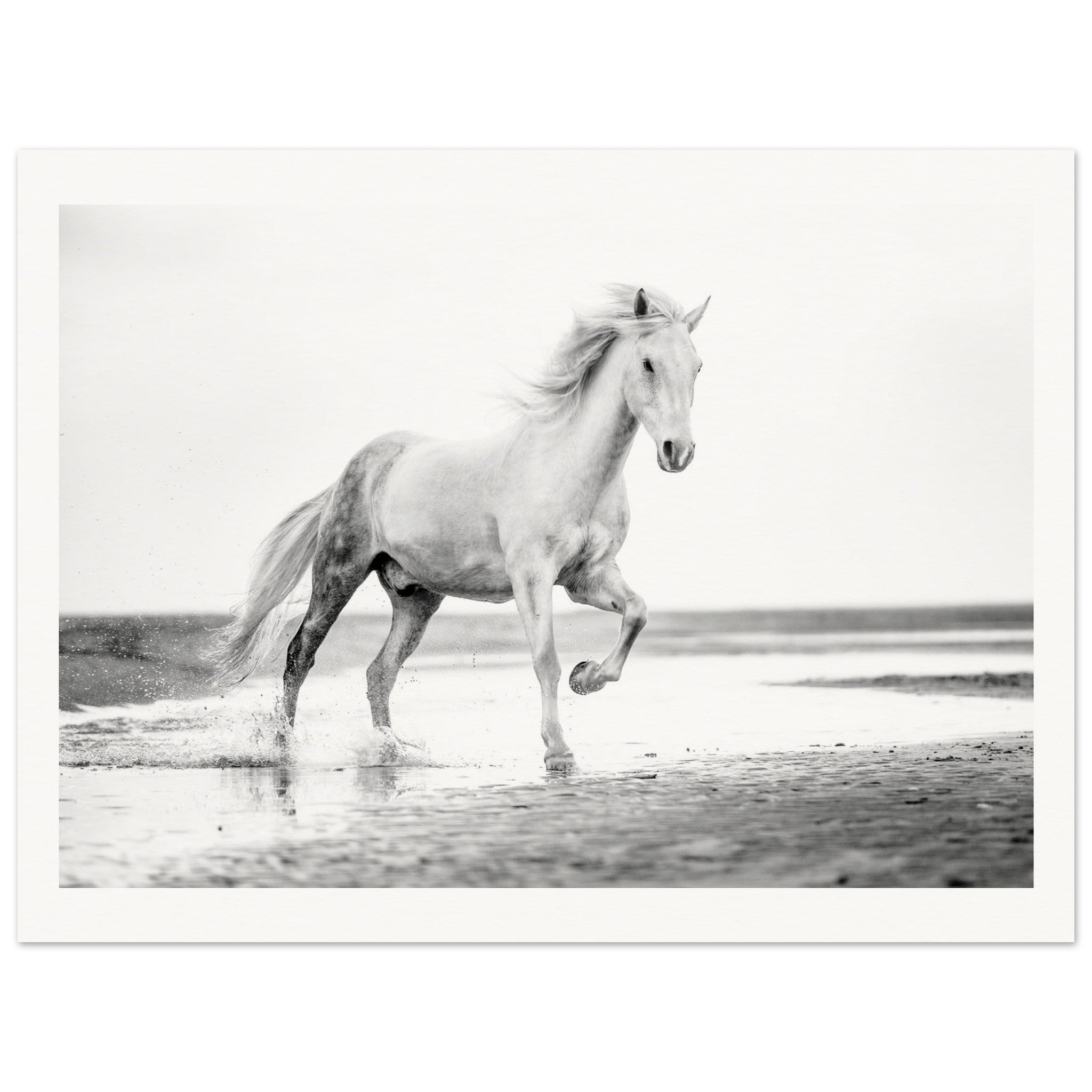 5e9b9800-2d44-4c89-abcb-69ab4c5033bc