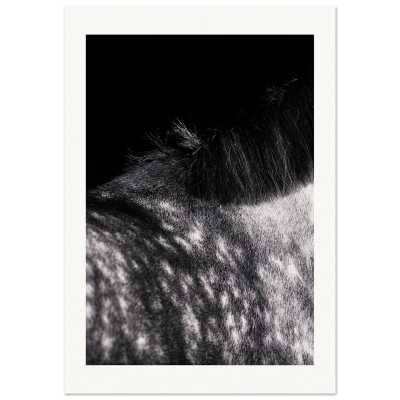 5f3d9fc0-0431-457c-aa7d-3014efe7bae4