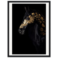 5f645c96-795c-4bc4-8c3c-a83e5bd54261