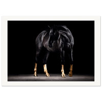 5fc9063f-ee96-41da-87d5-36e96a1e0f2f