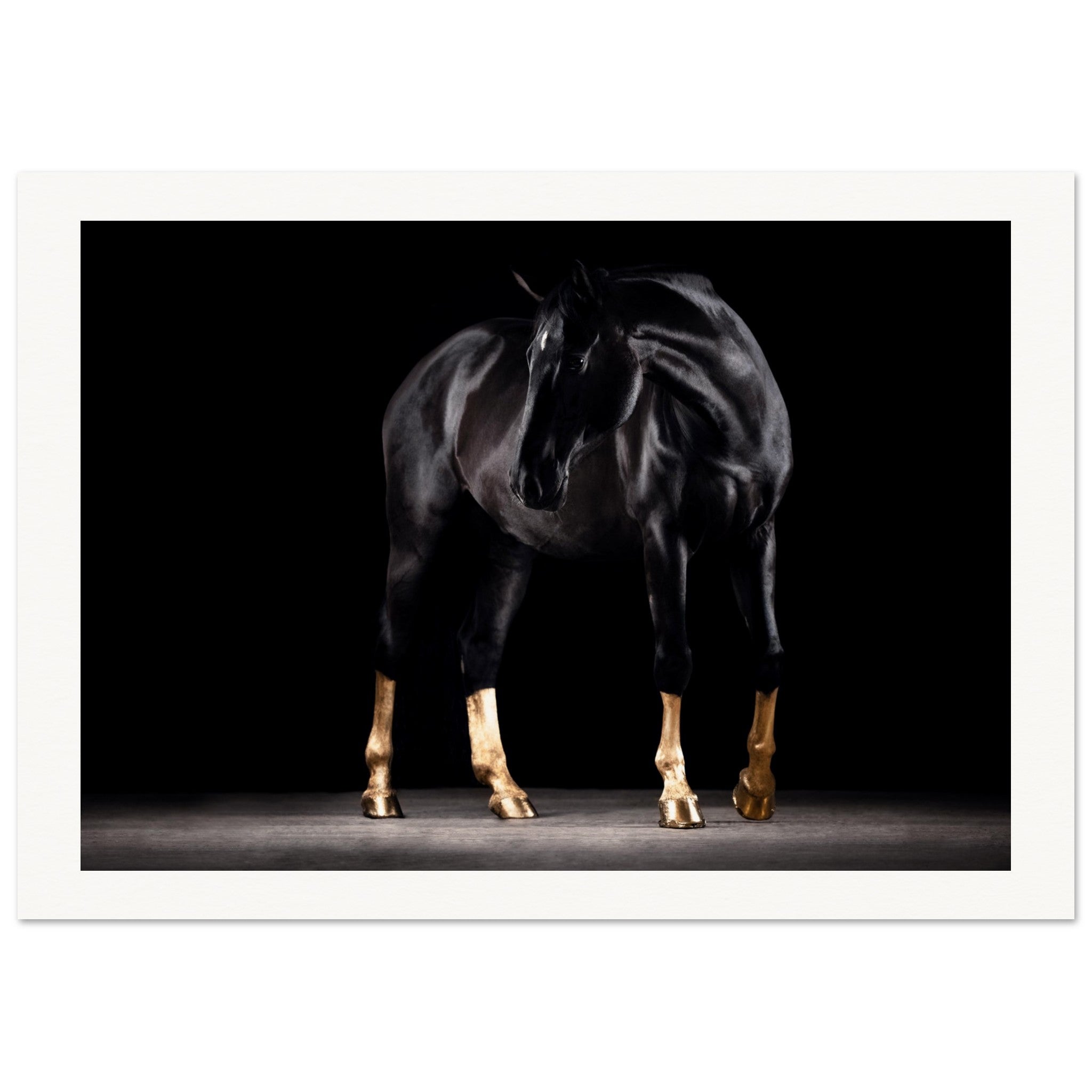 5fc9063f-ee96-41da-87d5-36e96a1e0f2f