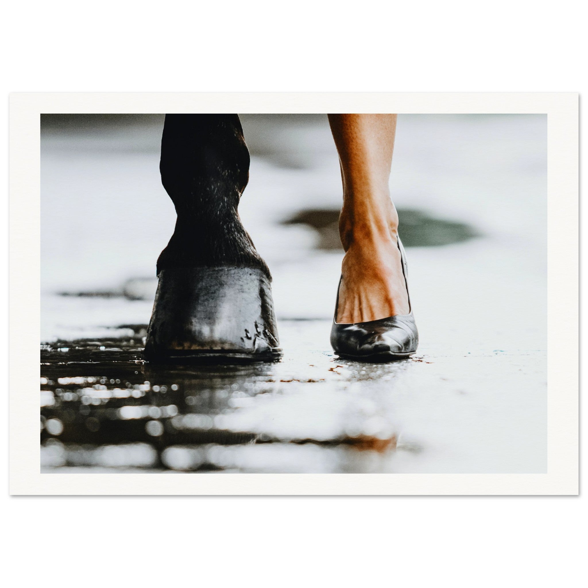 5ffc9197-c731-4c10-b9b7-0dc475dd2d40