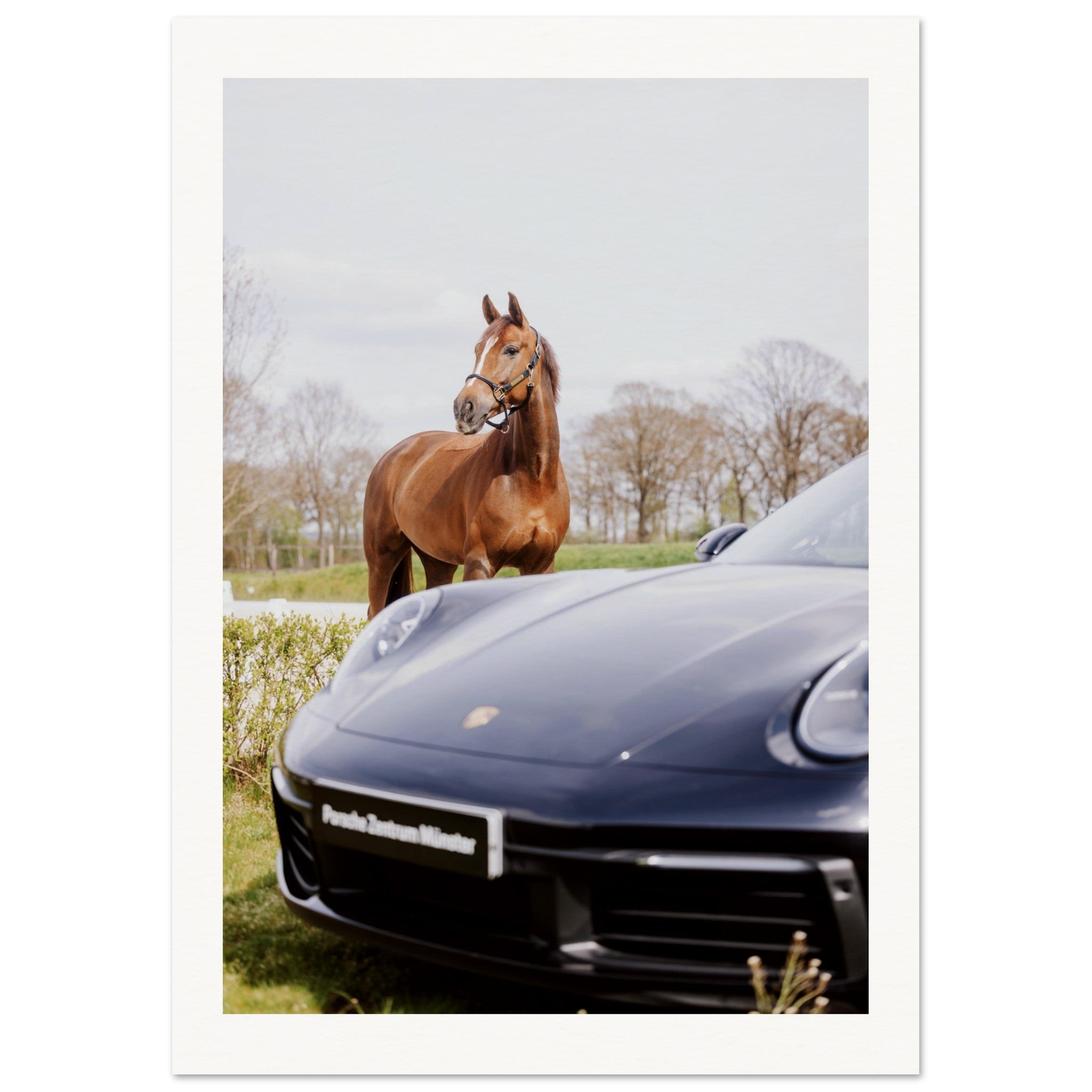 6025709b-b992-47b4-be15-8285645315a1