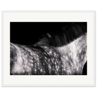 6076bc7a-509d-46ee-b45b-a9ffd5bf62d4