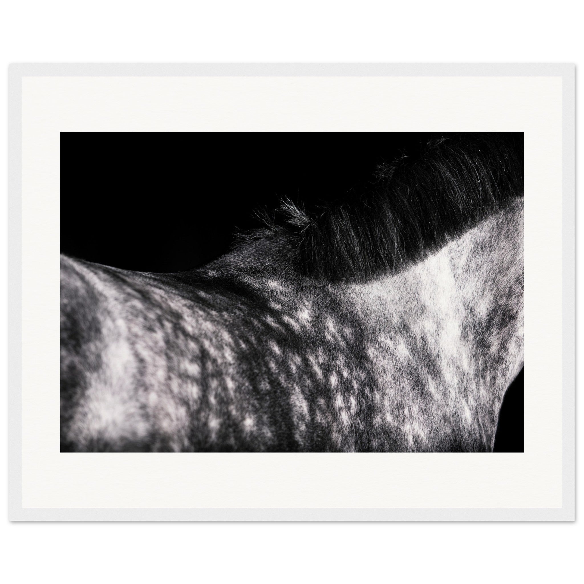 6076bc7a-509d-46ee-b45b-a9ffd5bf62d4