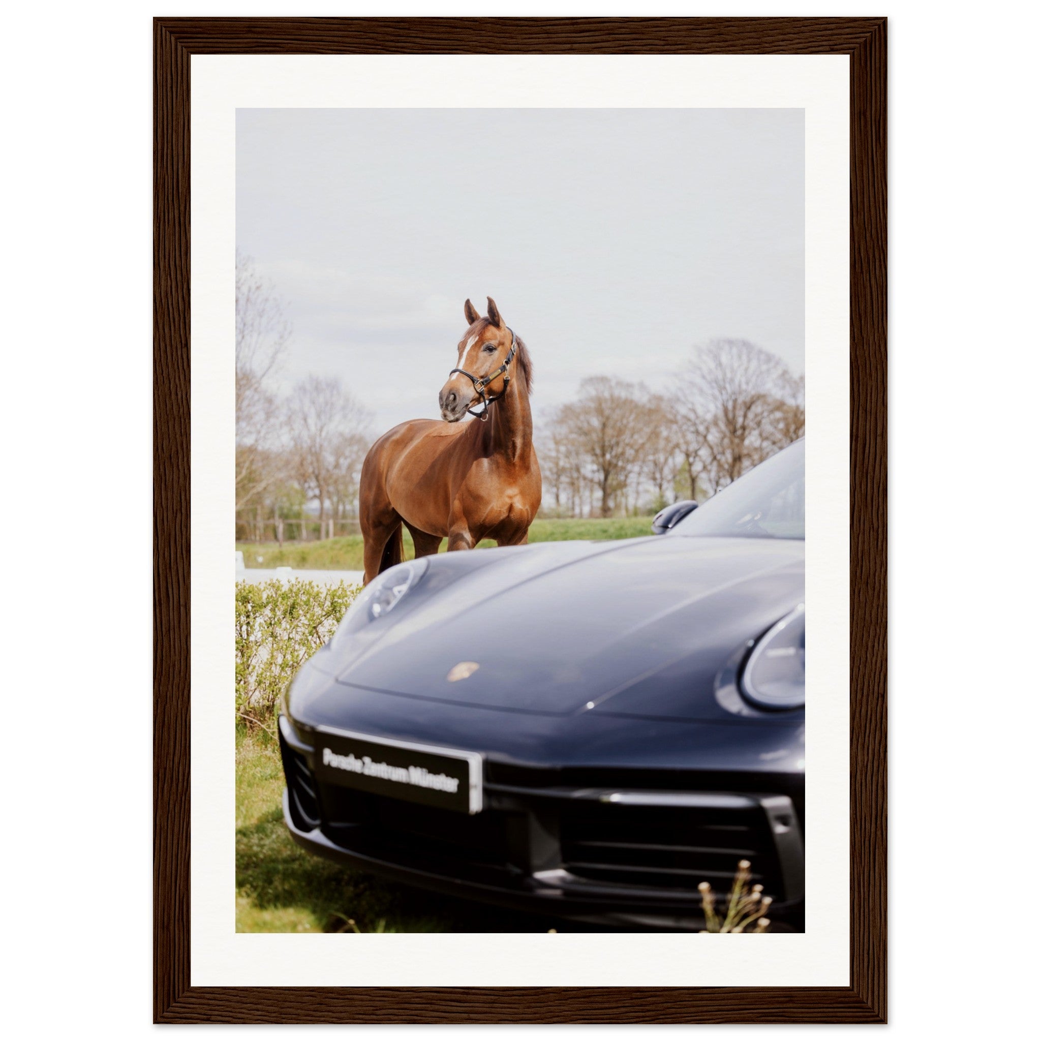 60bc687d-1c3a-4965-a550-30d4019afc5a