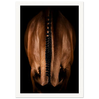 60ca5b36-0282-4bb7-8a68-172ebb8a365f