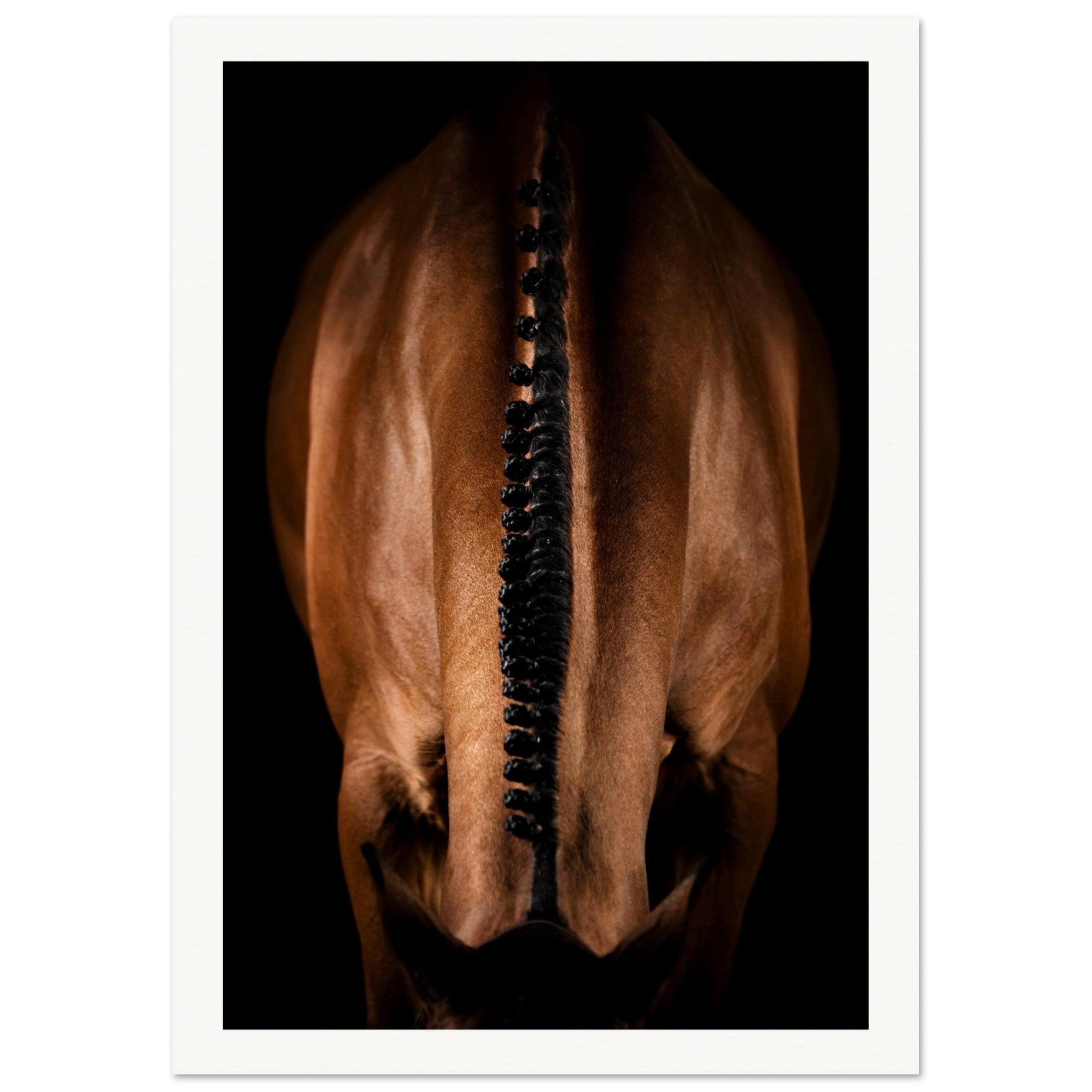 60ca5b36-0282-4bb7-8a68-172ebb8a365f