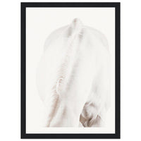 6119e71c-5023-4696-9e0e-94c581c287ea