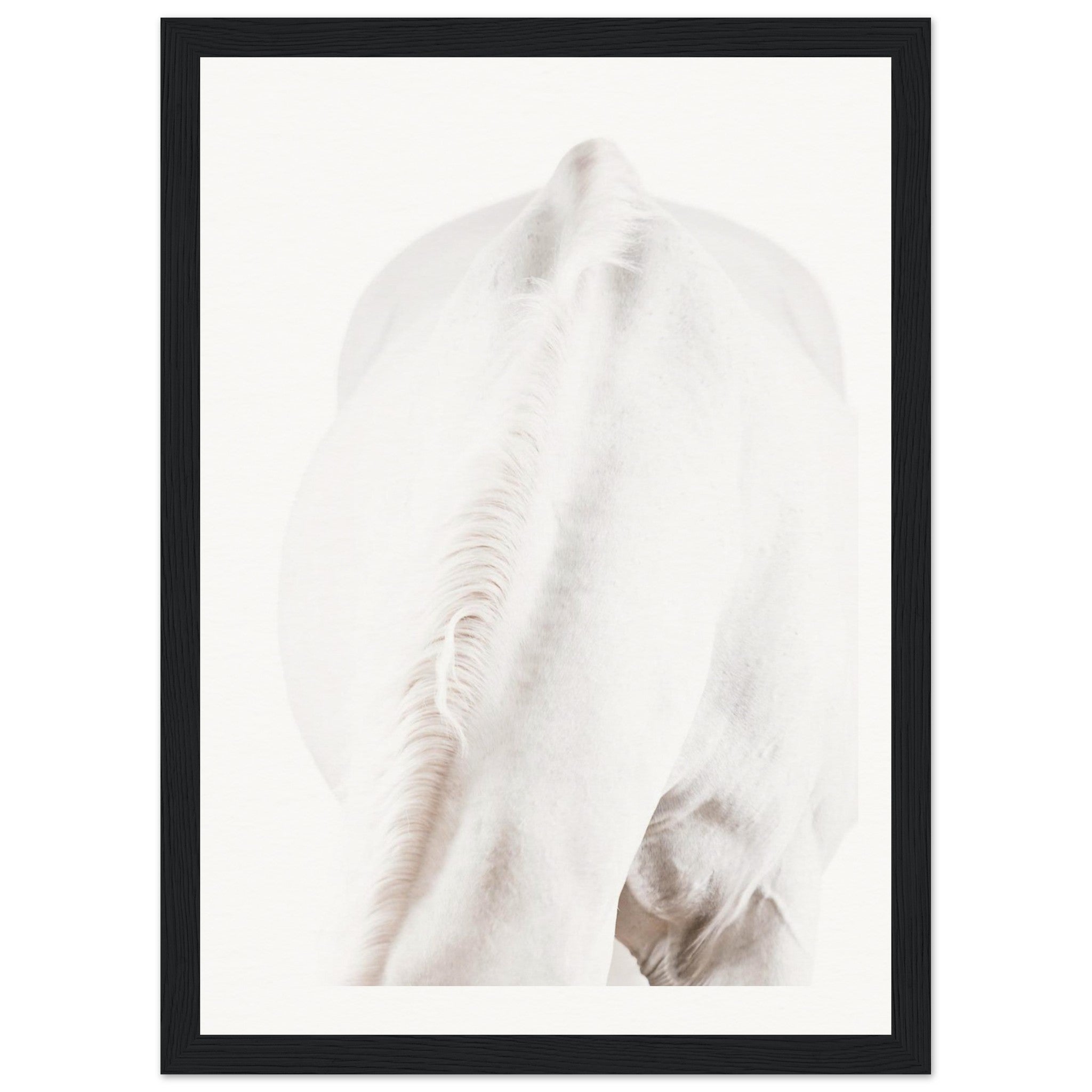 6119e71c-5023-4696-9e0e-94c581c287ea