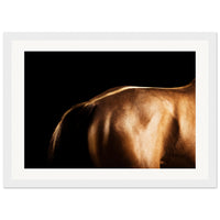 6123398a-956c-4325-927e-05be95a3b9d0