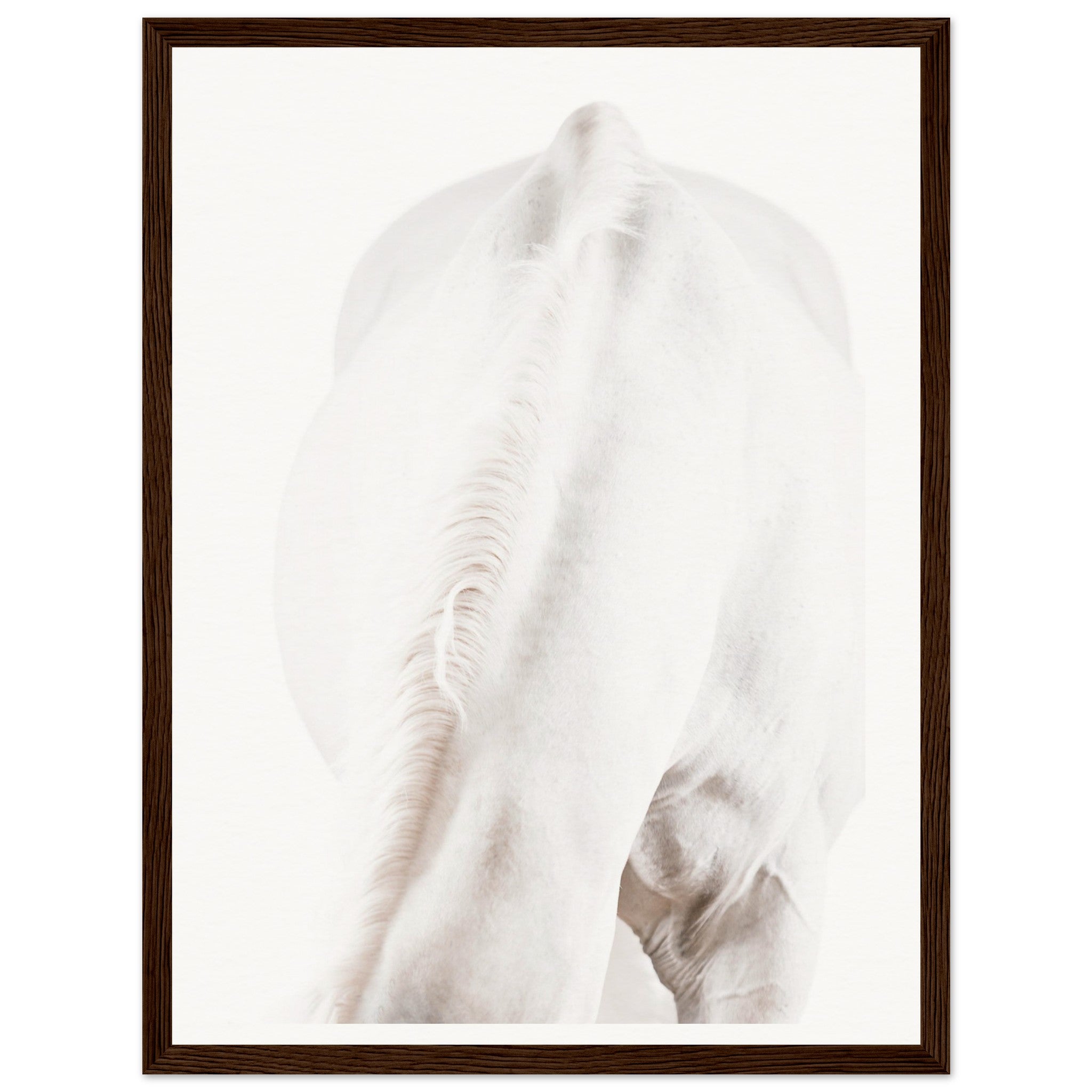 618897b1-079d-4513-a97a-e7af245f7dcd