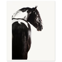 61aa8797-e4eb-4362-8db1-9c247abb24af