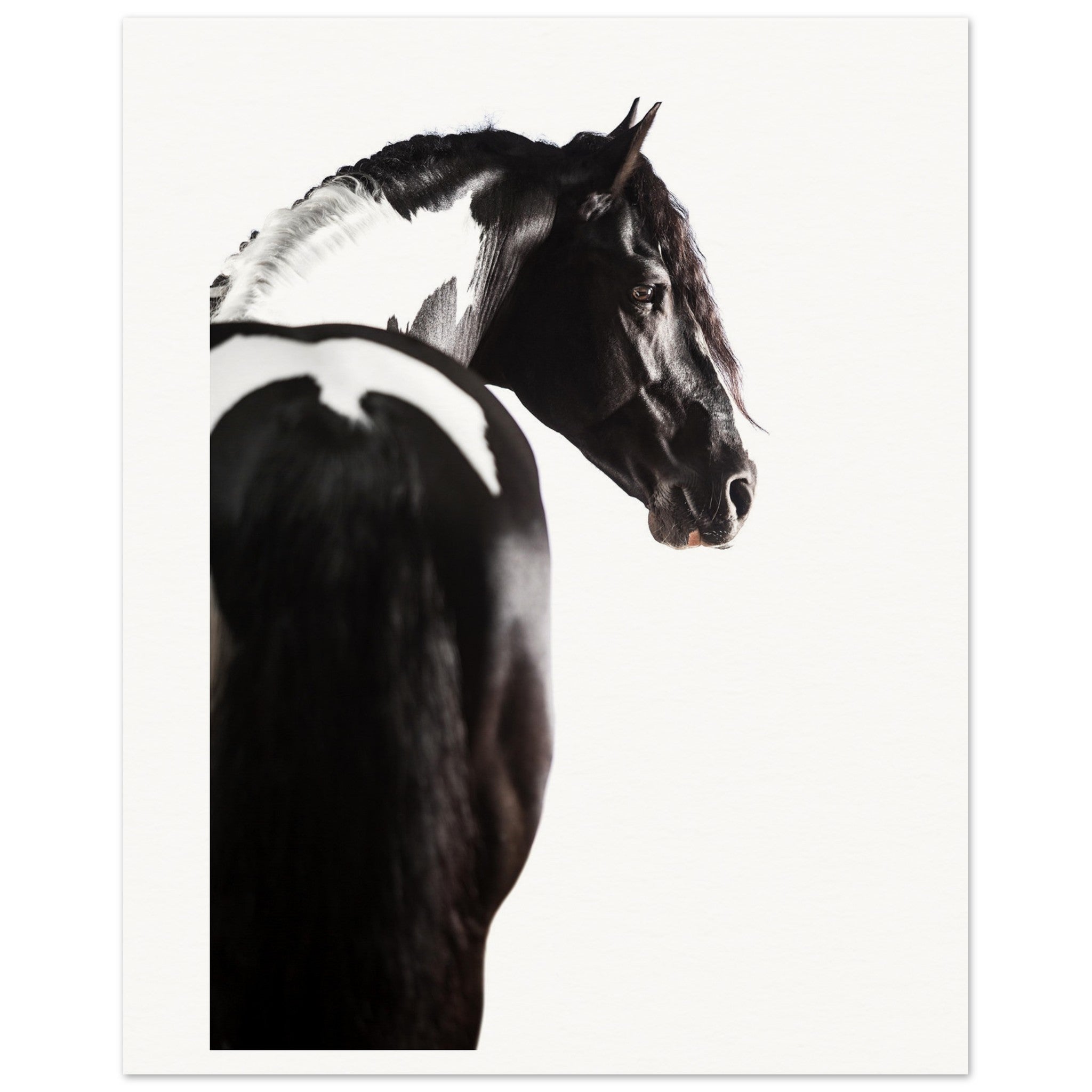 61aa8797-e4eb-4362-8db1-9c247abb24af