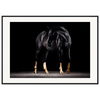 61edbfbb-7871-4ce6-9291-1c9c7a9f0e16