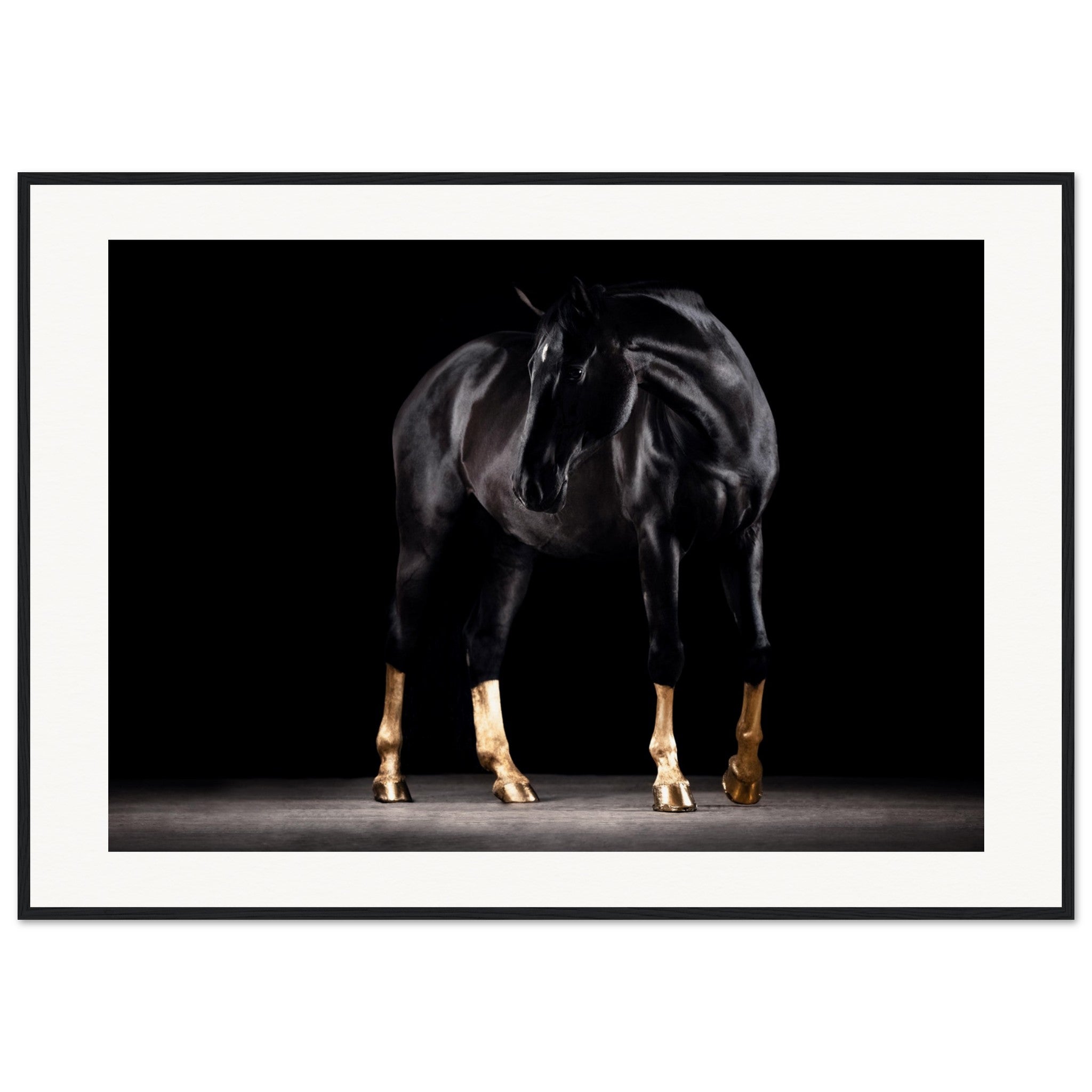 61edbfbb-7871-4ce6-9291-1c9c7a9f0e16