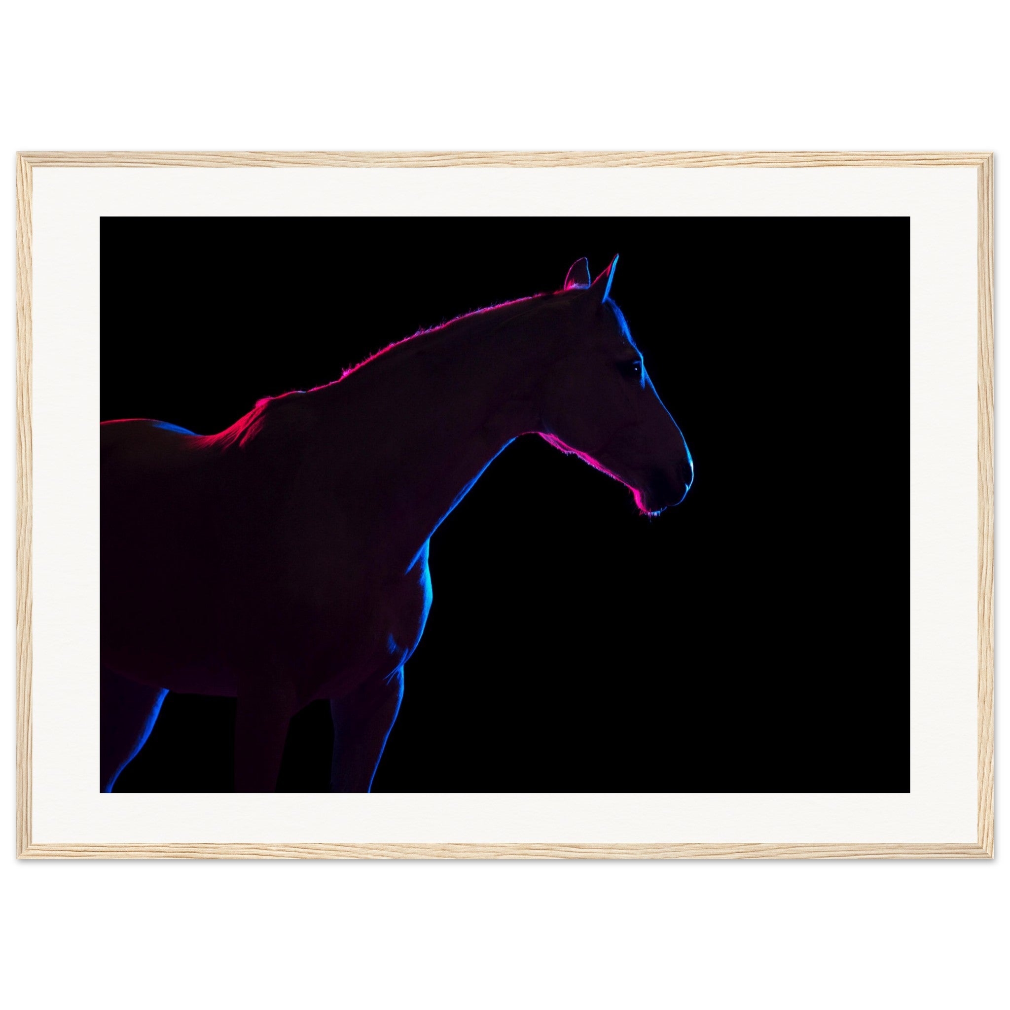 621f3241-2f37-4697-93e9-b5cb3f5c5c5d