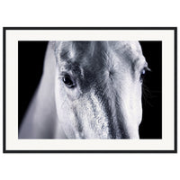 62357248-24ae-4a25-afd6-8d436dea6a0c