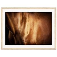 623785a6-8828-40f2-9b1f-49d12c7dd82d