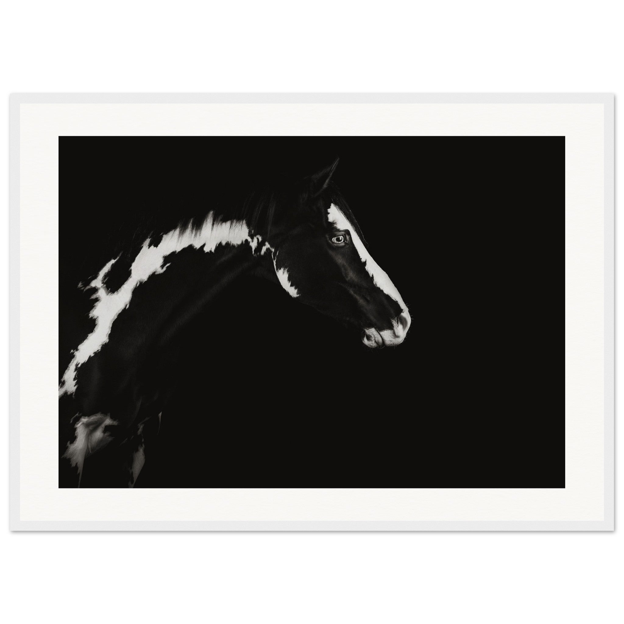 624507c3-4731-47b0-a5ec-1a92cb0452b4