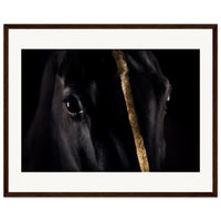 62624094-a28f-4695-baae-2c516afbfe07