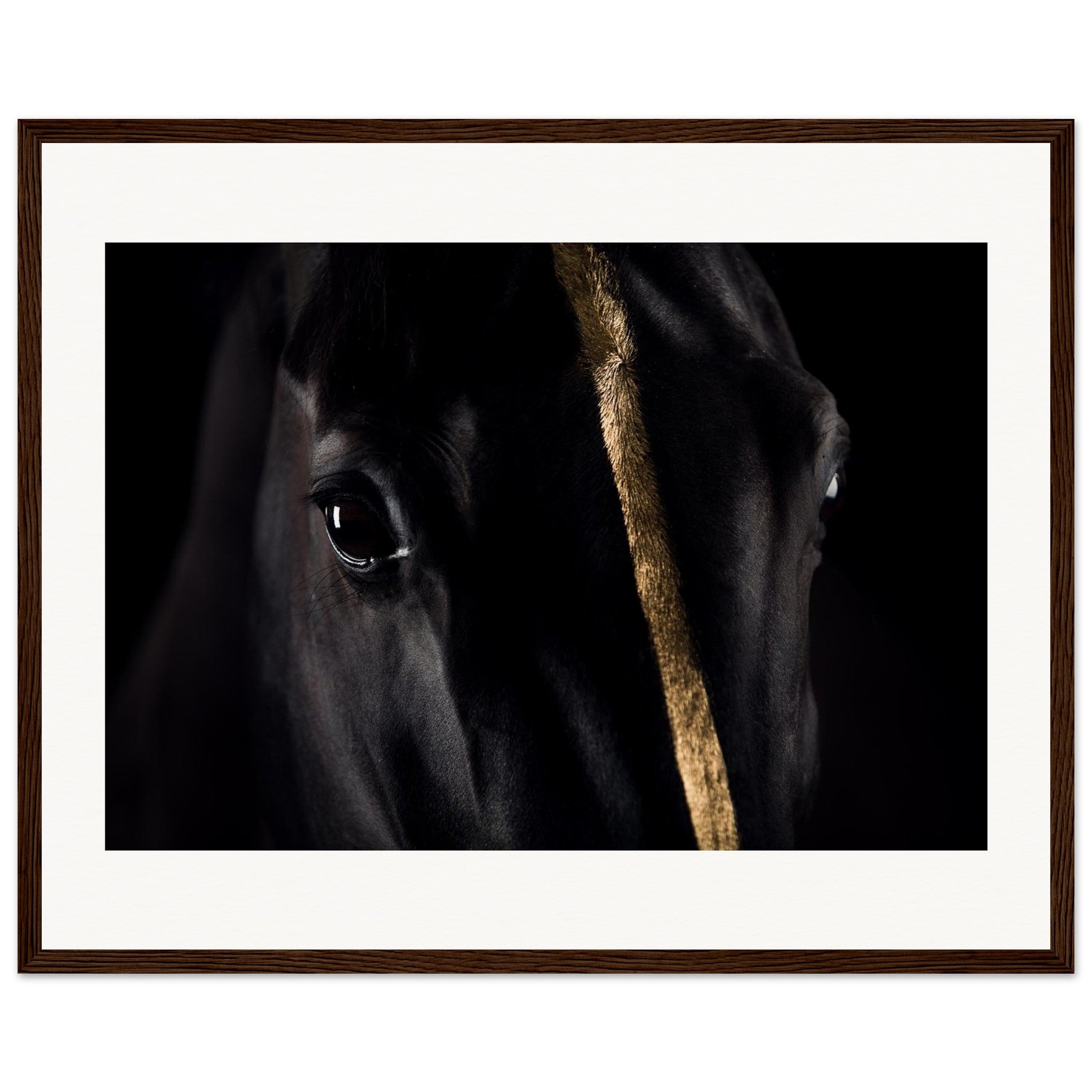 62624094-a28f-4695-baae-2c516afbfe07