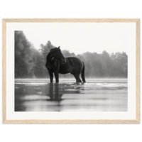 62911fad-68c1-42e2-bbcf-922b29b0f7bb