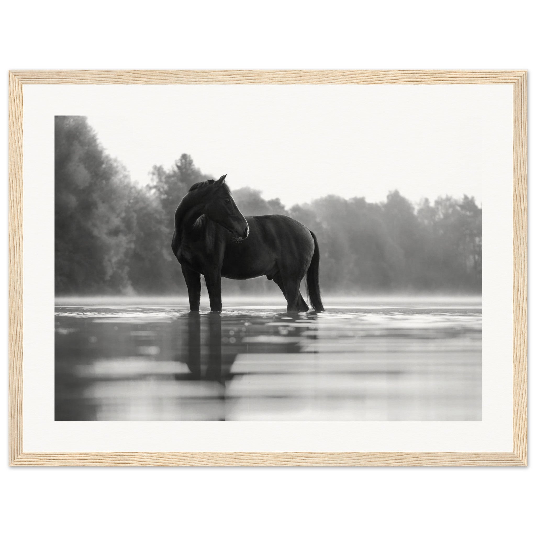 62911fad-68c1-42e2-bbcf-922b29b0f7bb