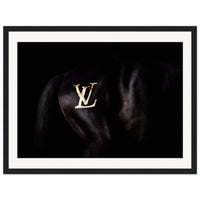 62b8952d-8732-4775-8583-a9a54d0c8520