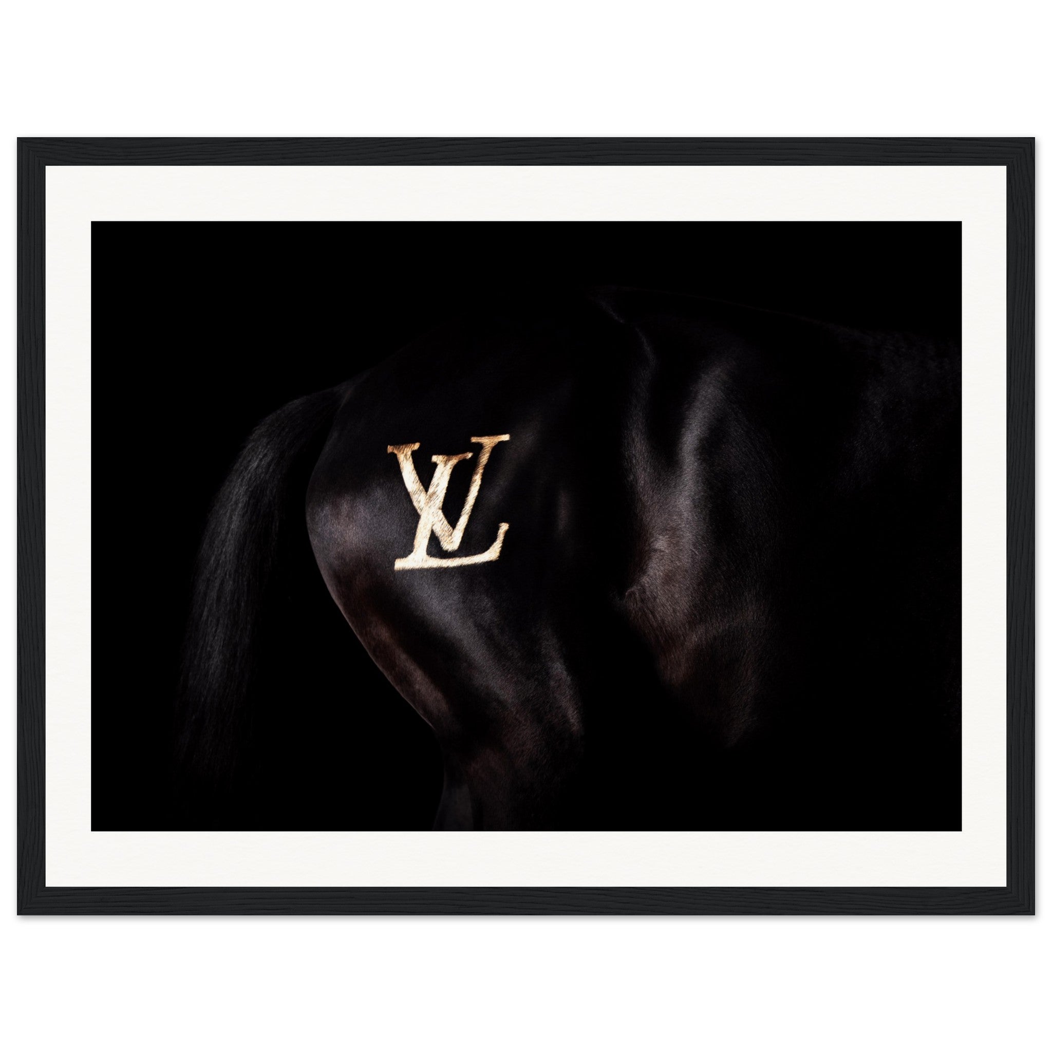 62b8952d-8732-4775-8583-a9a54d0c8520