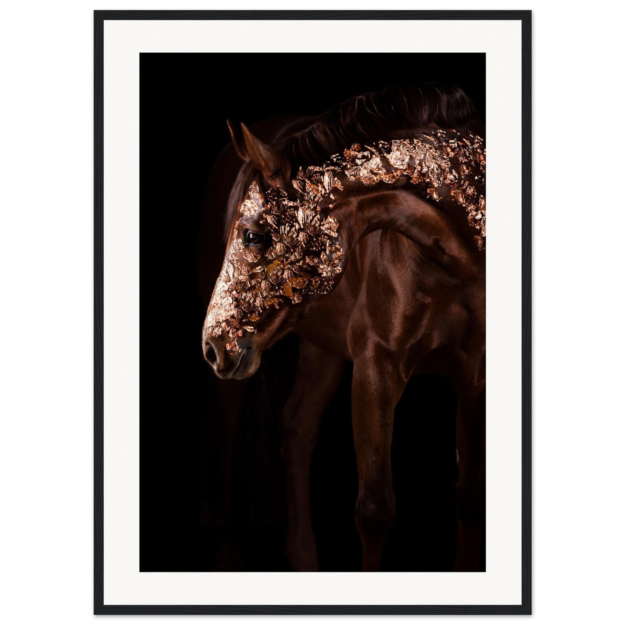 6314e7ce-38c1-4363-a050-a2e914e3c47b