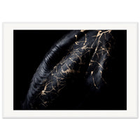 63335cd3-2b9b-4725-bec8-64e5b9533f35