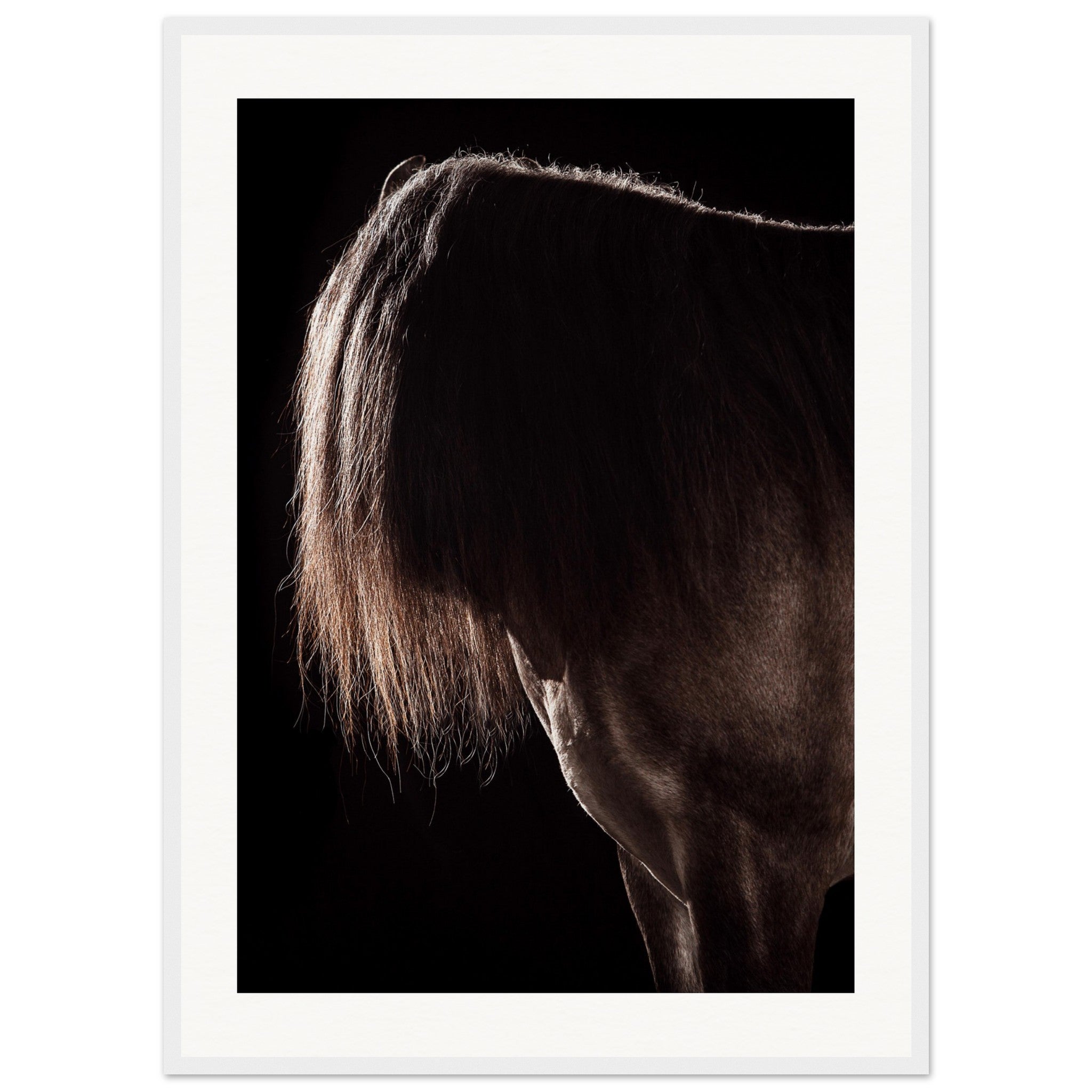 6339898e-07a4-49e1-9337-b5998c20e071