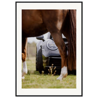 634e2fea-b592-4dec-bdb5-1e04fc93fd90