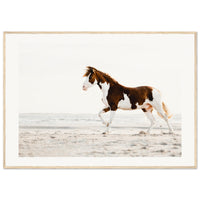 6363cf5a-49ea-4cfa-b7e5-df9489e3b321