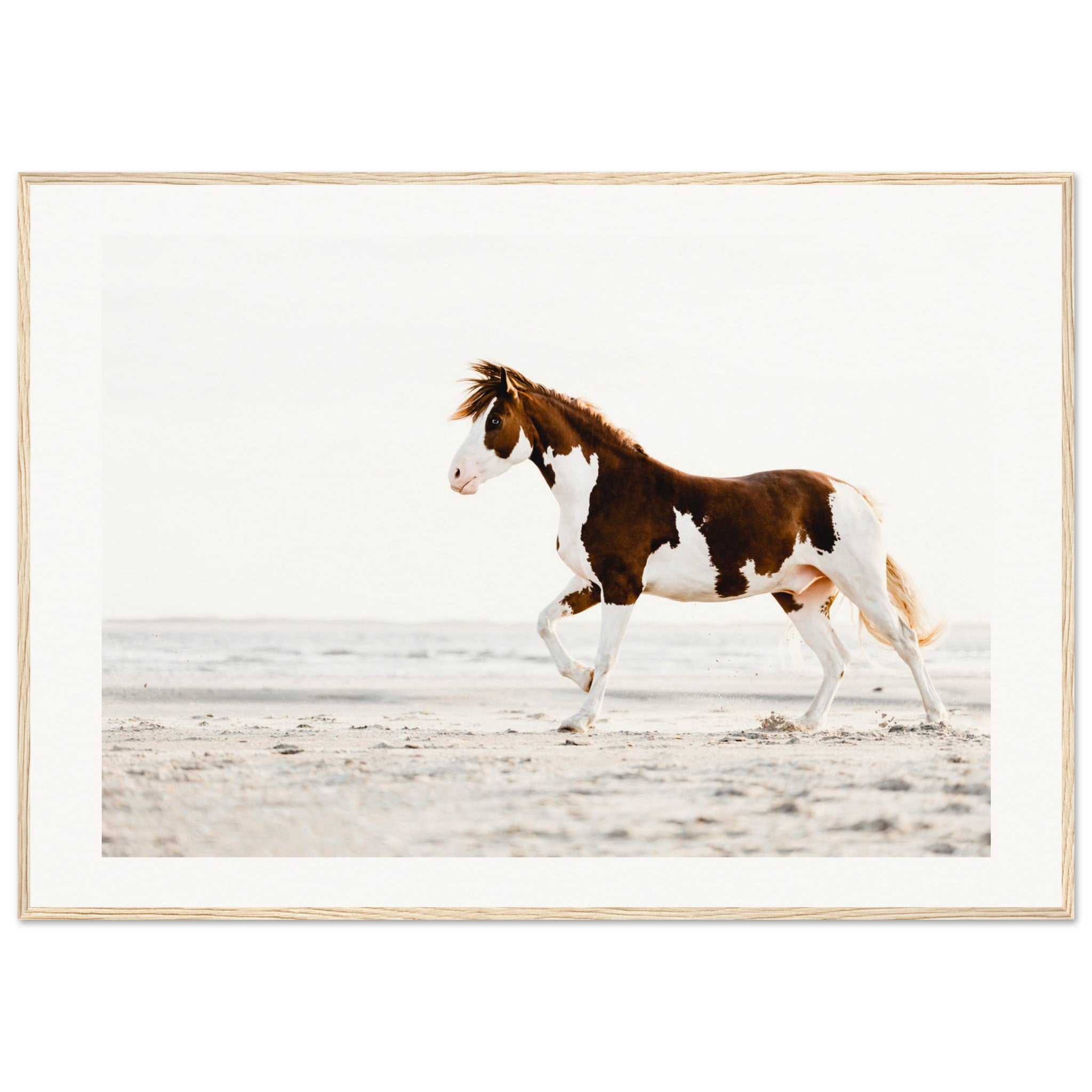 6363cf5a-49ea-4cfa-b7e5-df9489e3b321