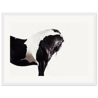 639c3ae4-ba54-4ab5-8eac-8fb990a4d8a0